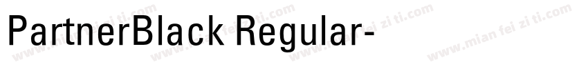 PartnerBlack Regular字体转换